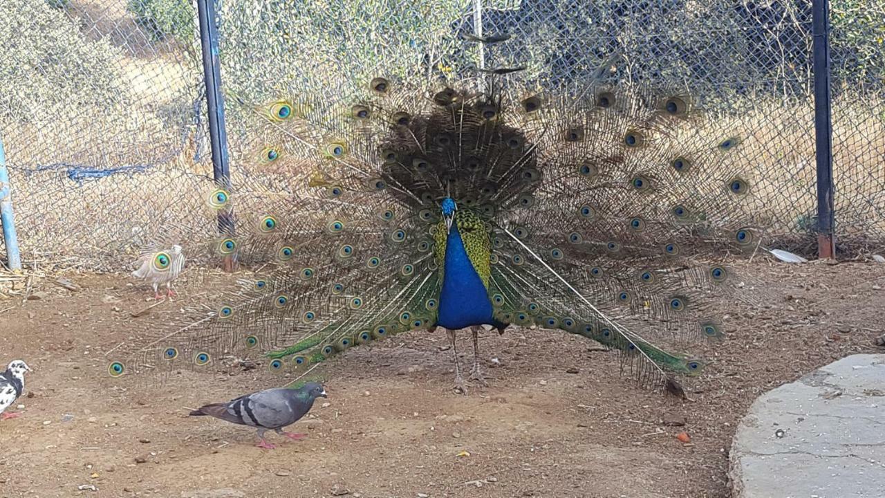 Relais De Tahla Aïn Bou Mahdi Exterior foto